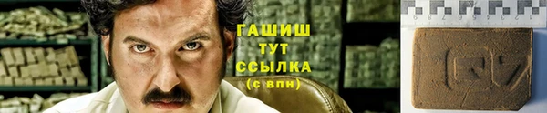 2c-b Бородино