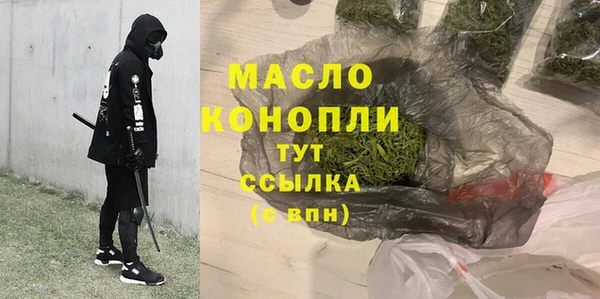 2c-b Бородино