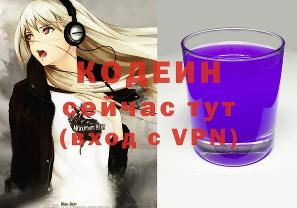 2c-b Бородино