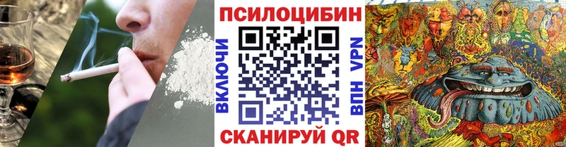 Купить  Волоколамск  Псилоцибиновые грибы Psilocybe 